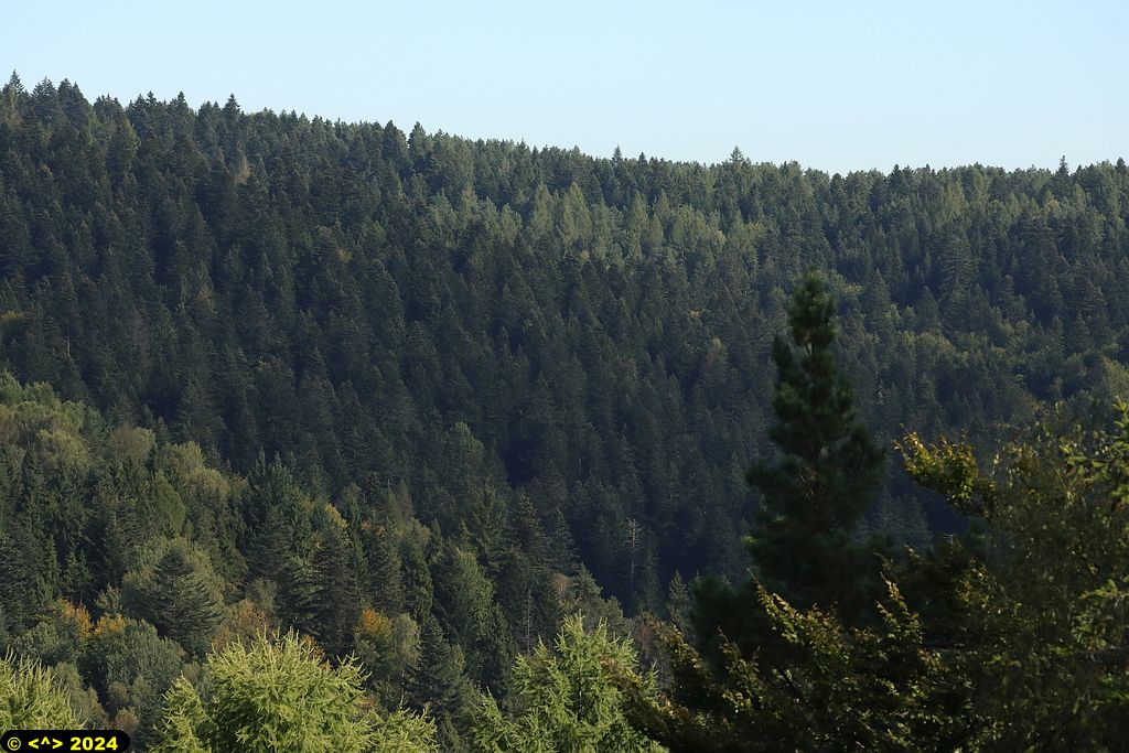 Foto nr: 1728