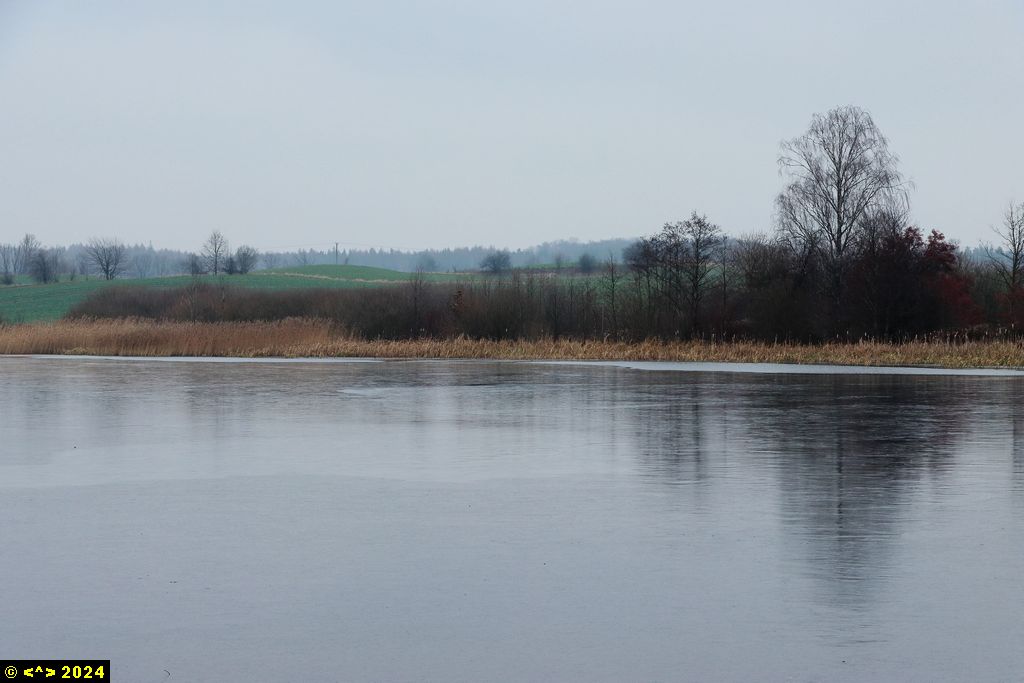 Foto nr: 1754