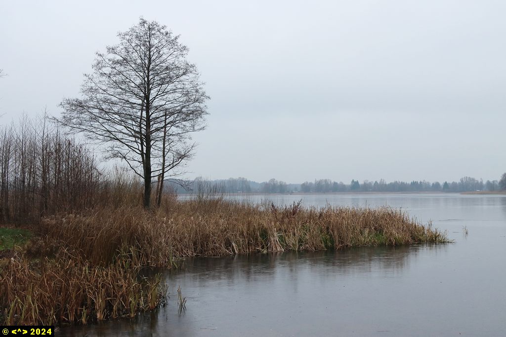 Foto nr: 1755