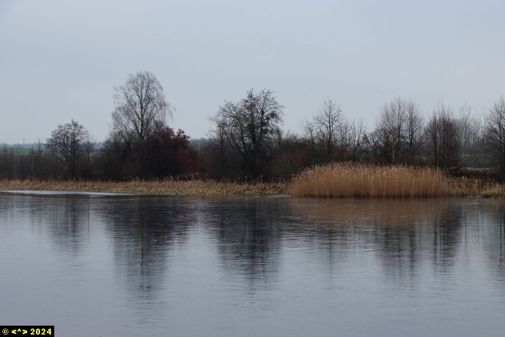 Foto nr: 1757