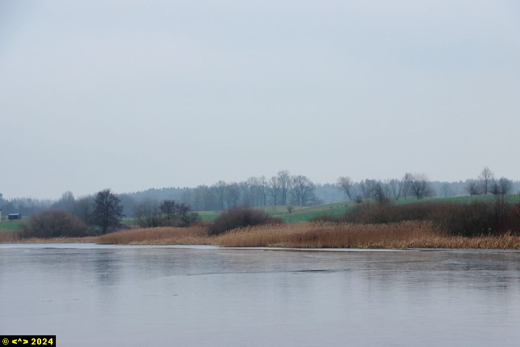 Foto nr: 1758