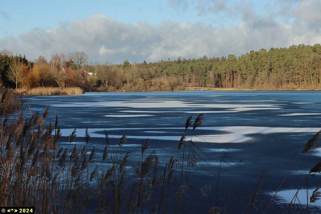 Foto nr: 1761