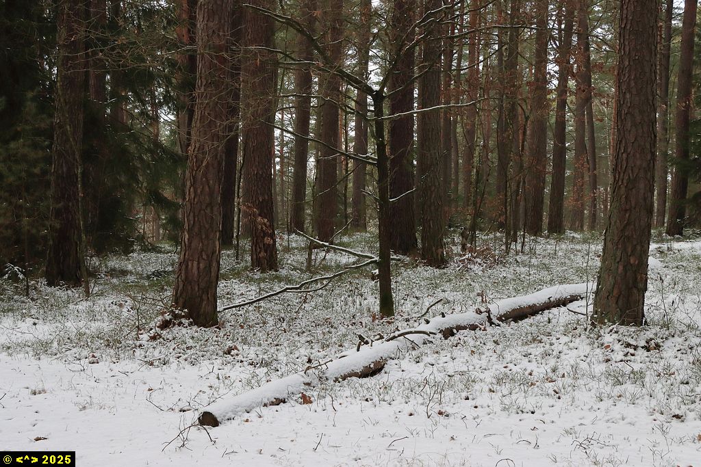 Foto nr: 1763