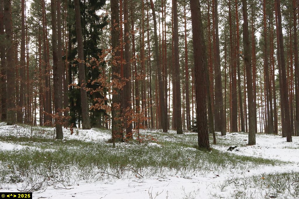Foto nr: 1764