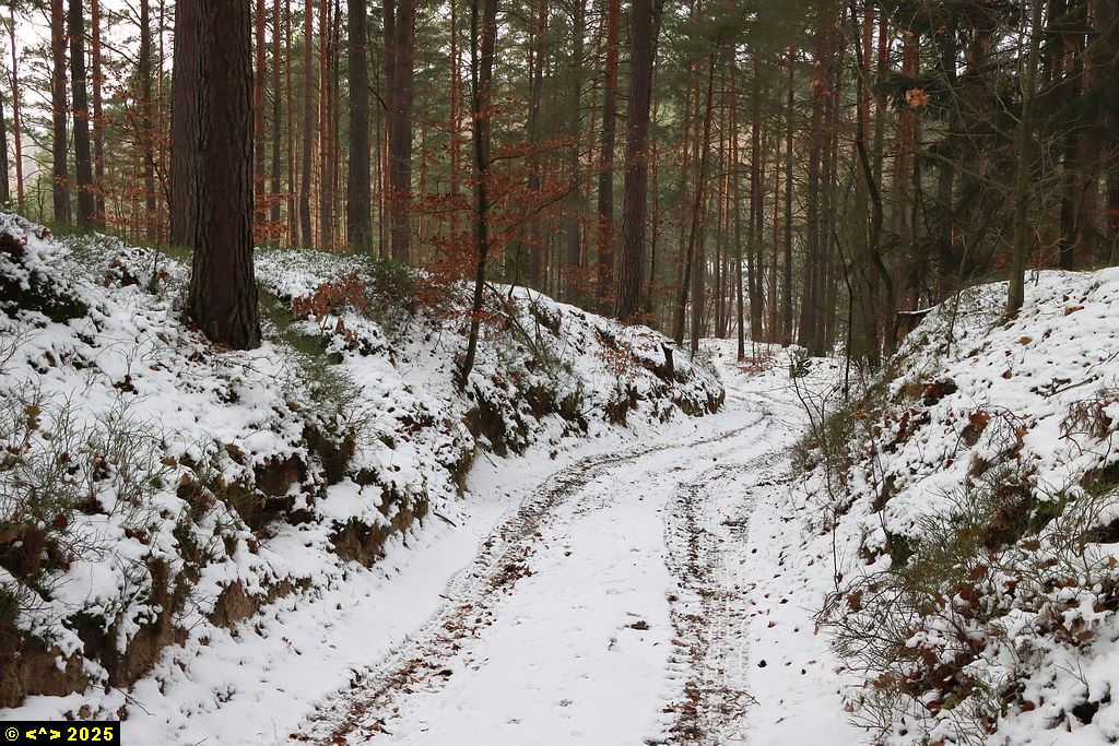Foto nr: 1765