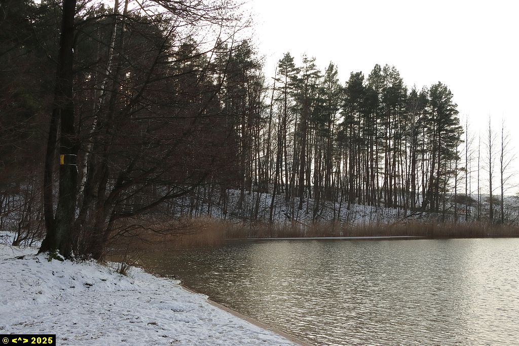 Foto nr: 1767