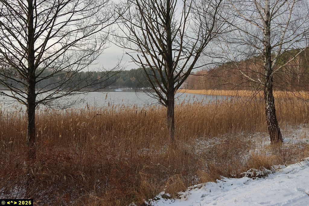 Foto nr: 1769