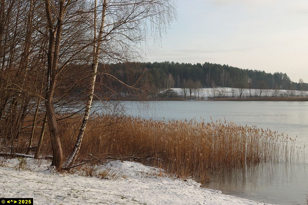 Foto nr: 1771