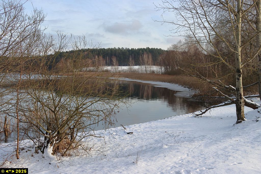 Foto nr: 1772