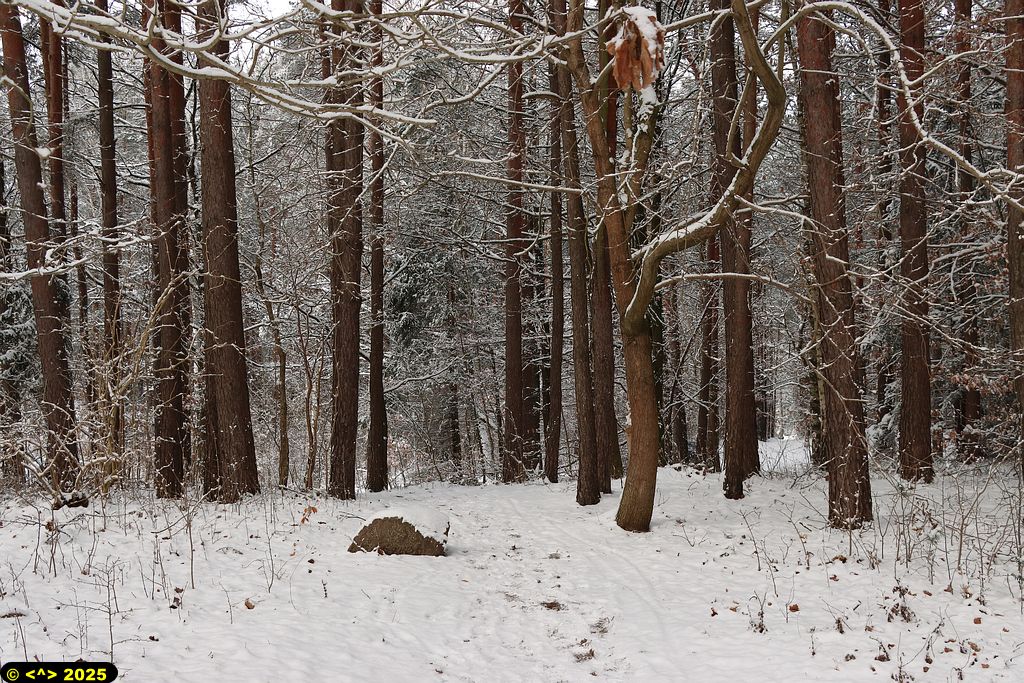 Foto nr: 1773