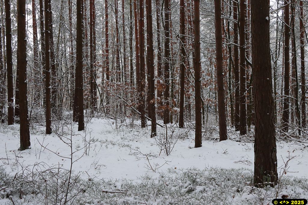 Foto nr: 1774