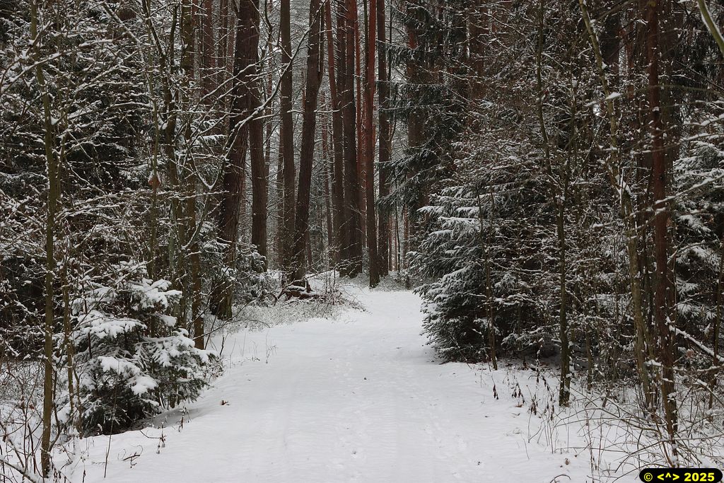 Foto nr: 1775