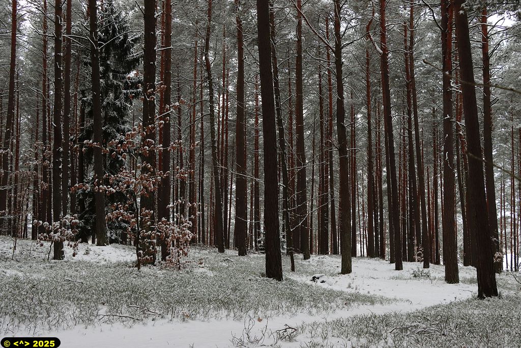 Foto nr: 1777