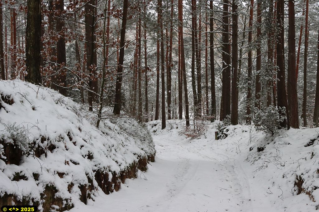 Foto nr: 1778