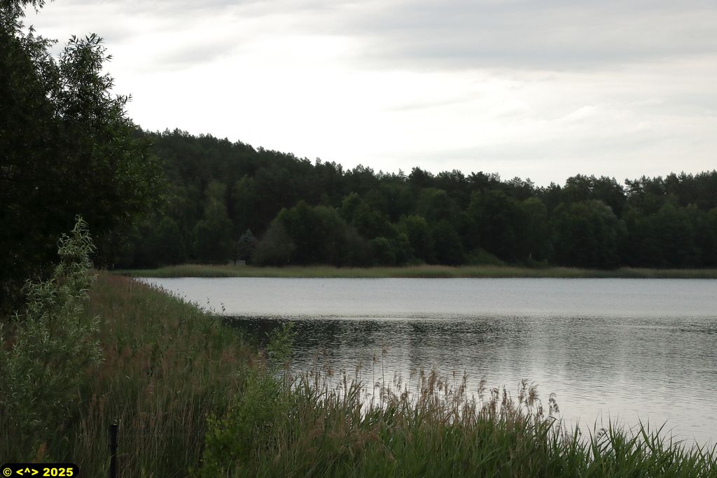 Foto nr: 1822