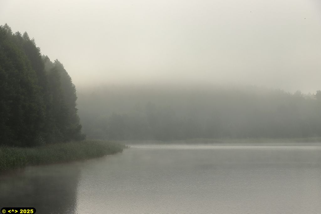 Foto nr: 1823