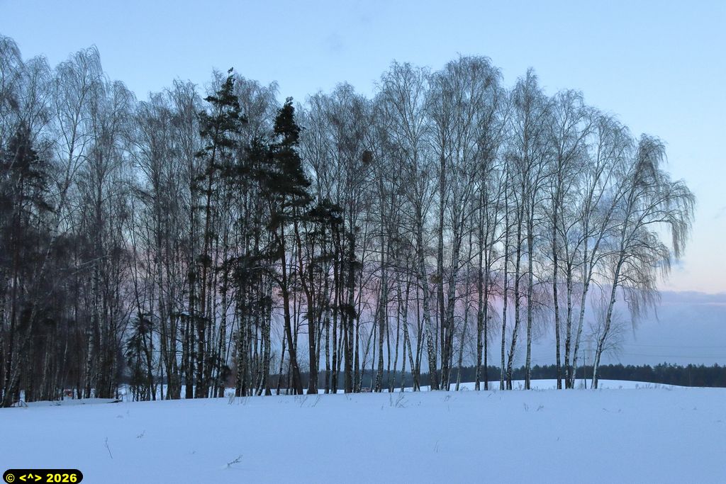 Foto nr: 1887
