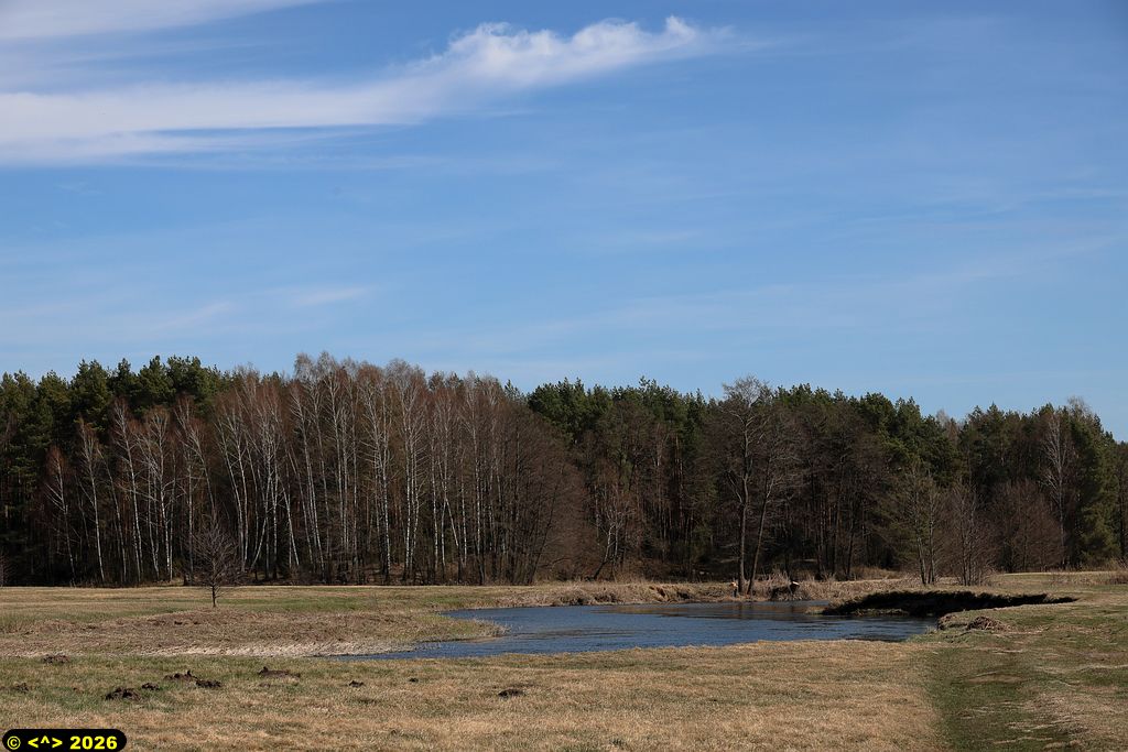 Foto nr: 1919