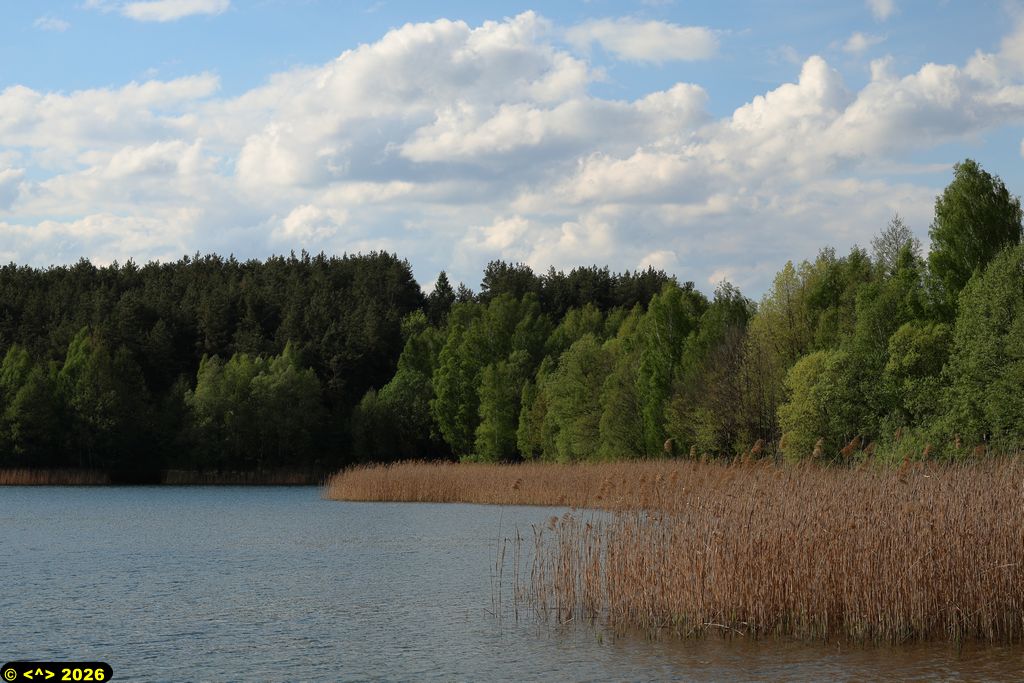 Foto nr: 1929