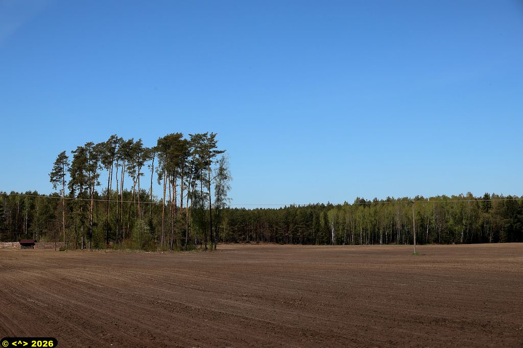 Foto nr: 1933