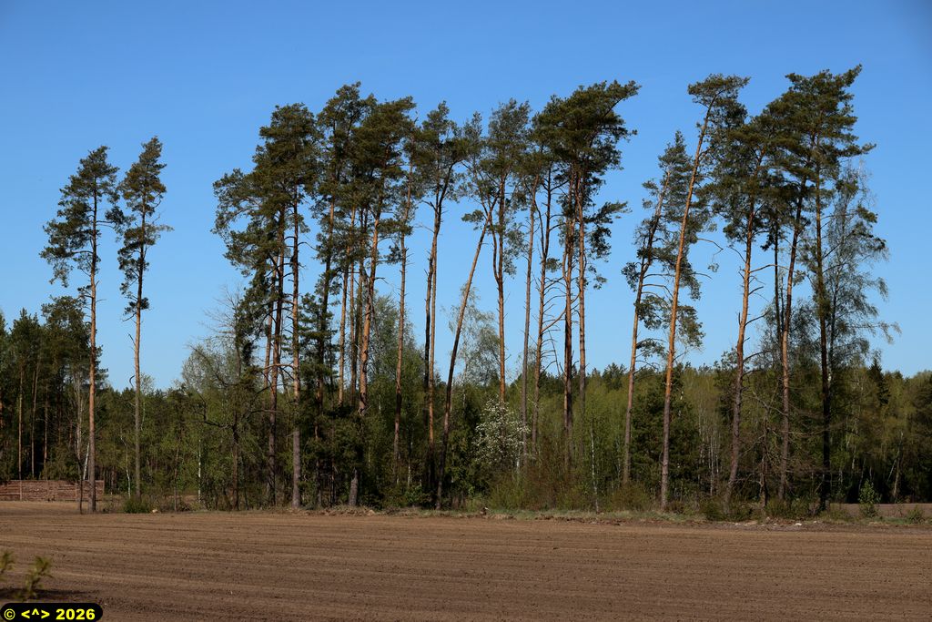 Foto nr: 1935