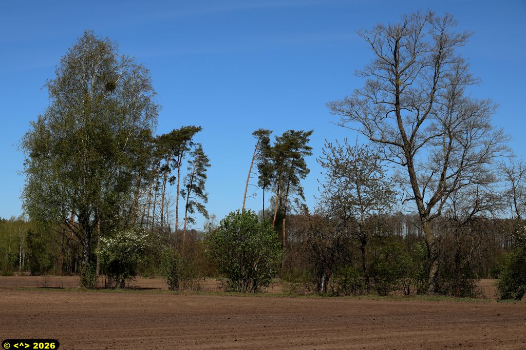Foto nr: 1936
