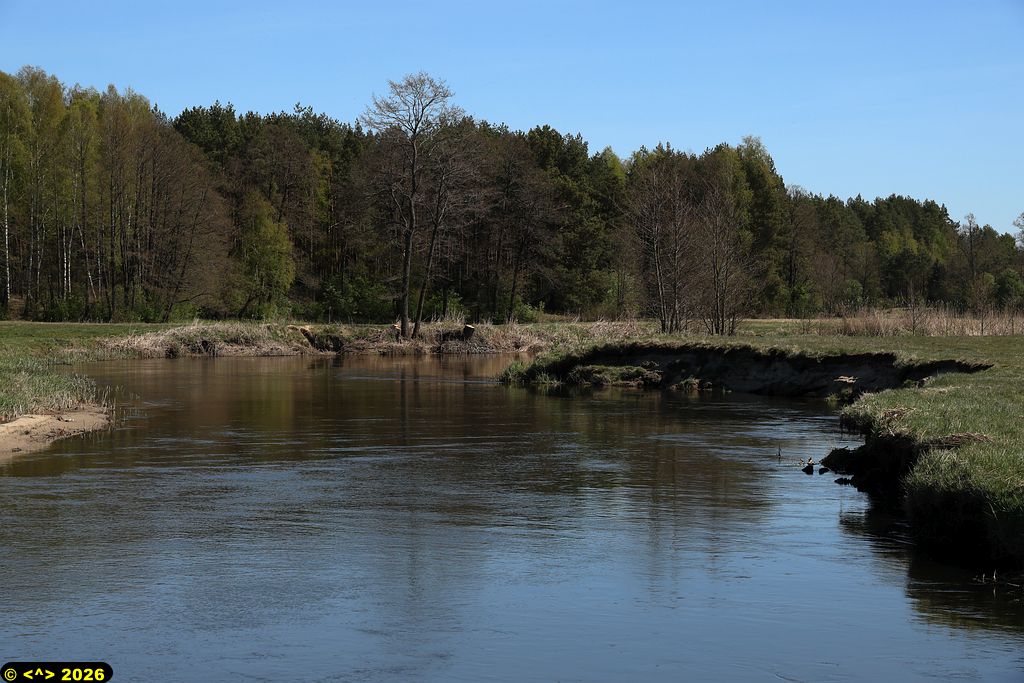 Foto nr: 1937