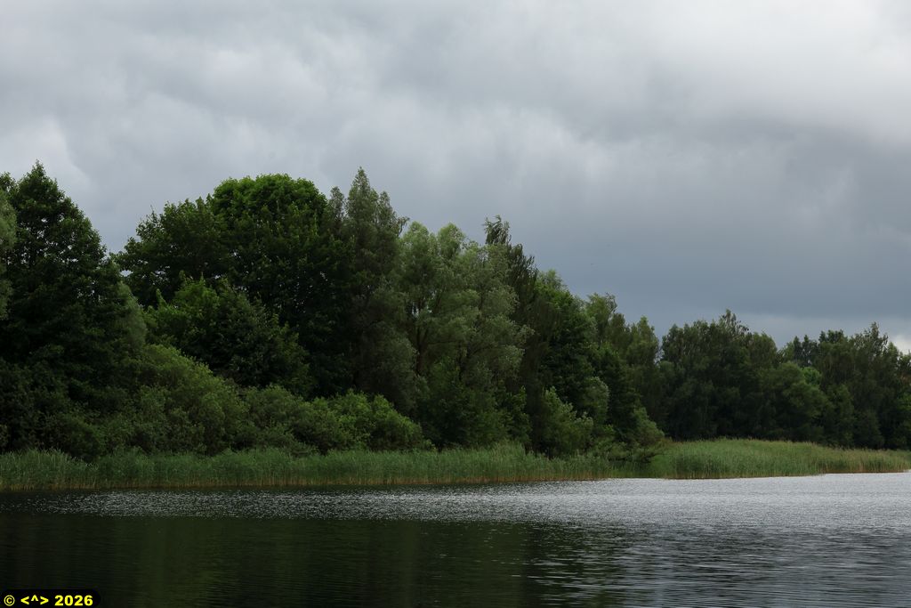 Foto nr: 1944
