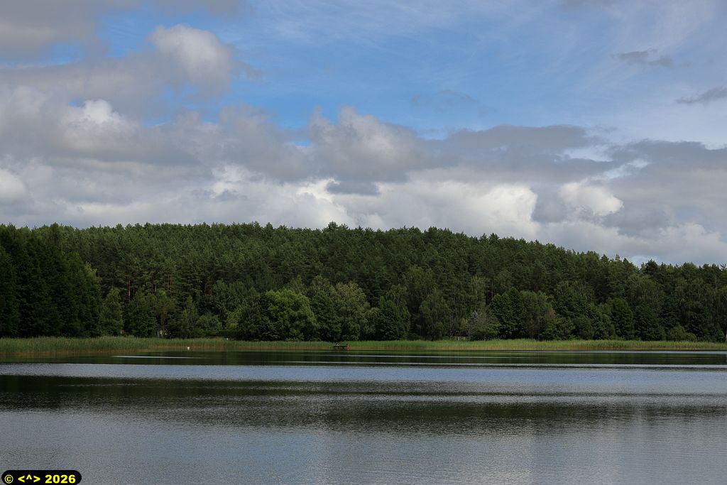 Foto nr: 1955