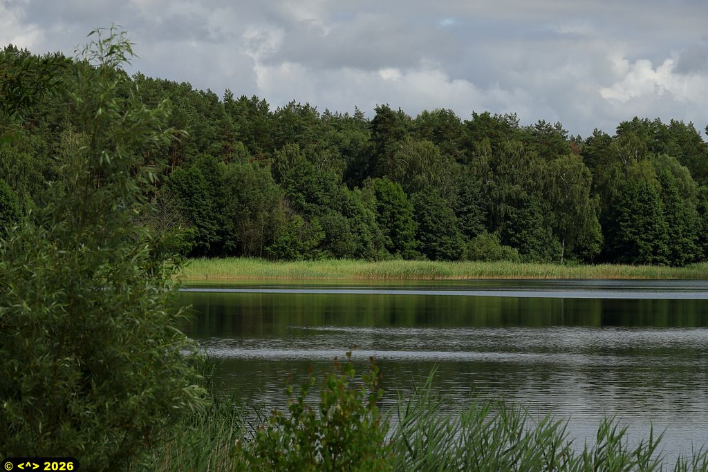 Foto nr: 1956