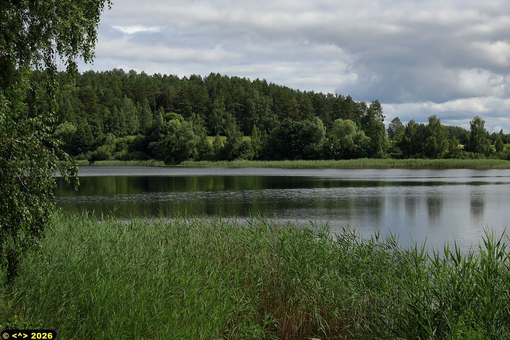 Foto nr: 1957