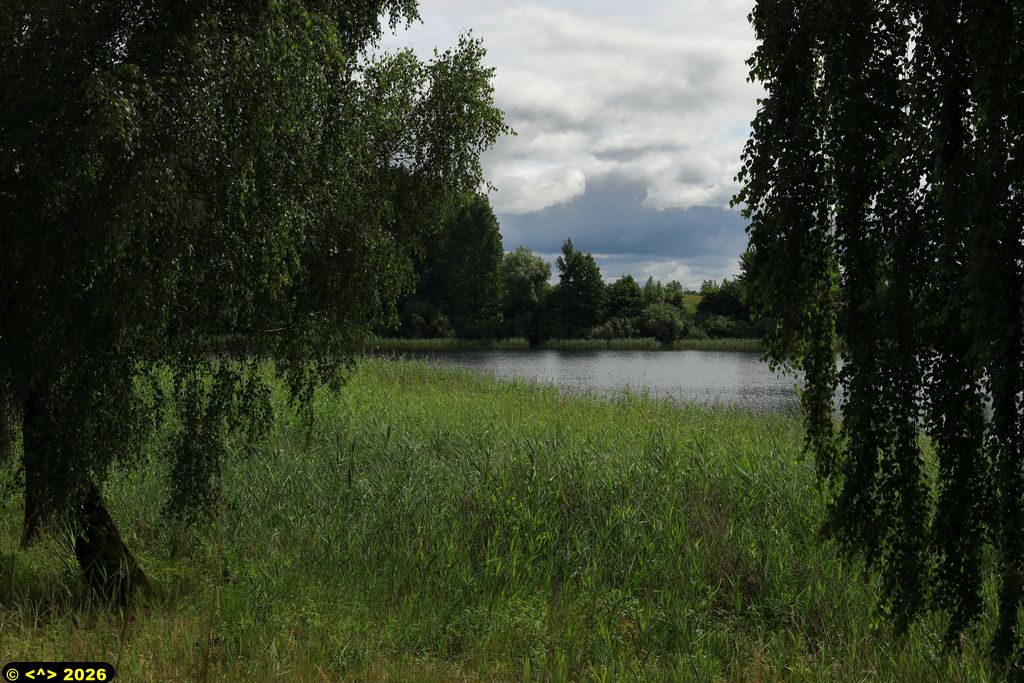 Foto nr: 1959