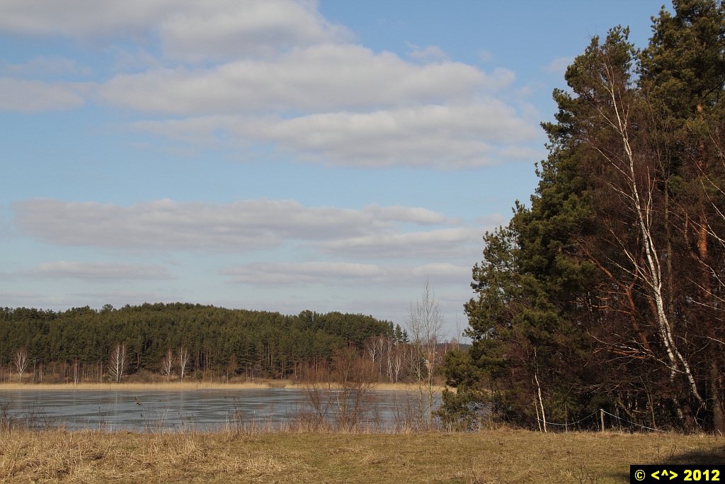 Foto nr: 197