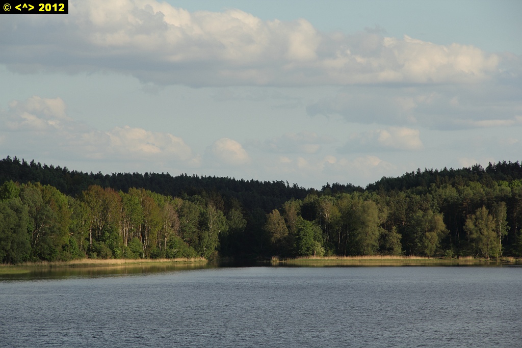 Foto nr: 230