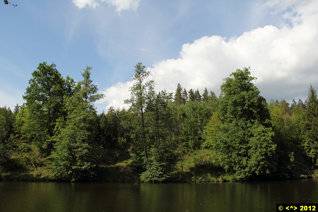Foto nr: 245