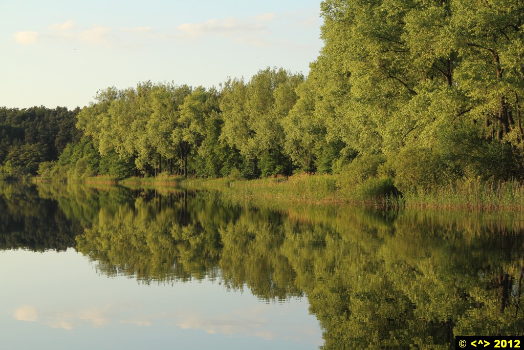 Foto nr: 249