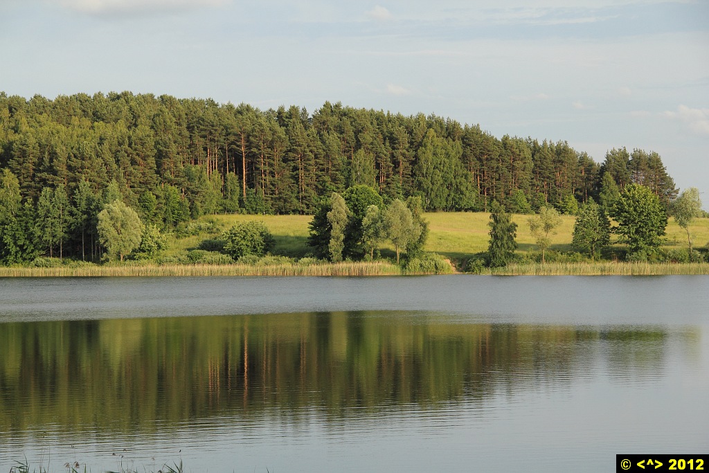 Foto nr: 251
