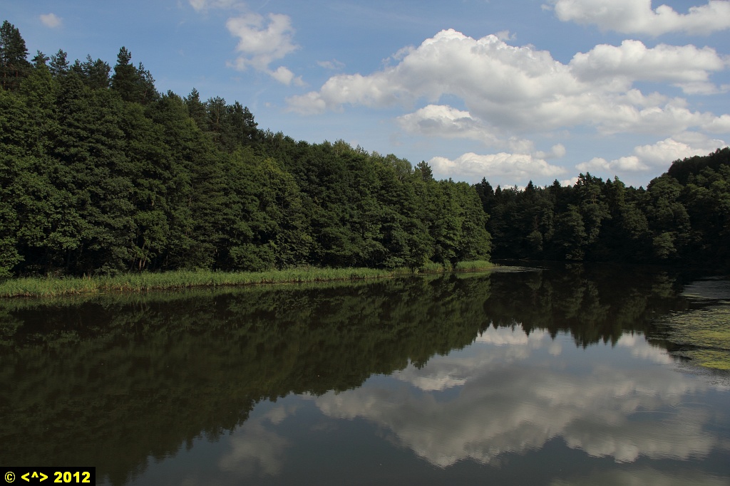 Foto nr: 262
