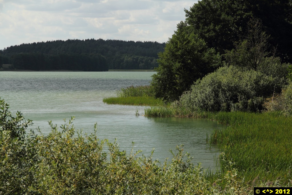 Foto nr: 265