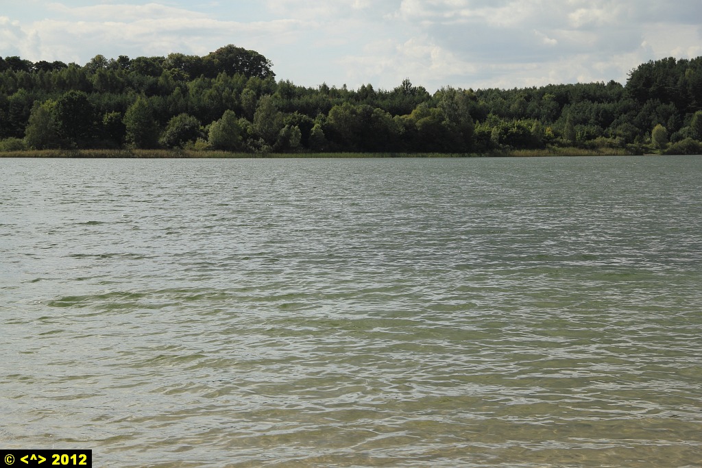 Foto nr: 268