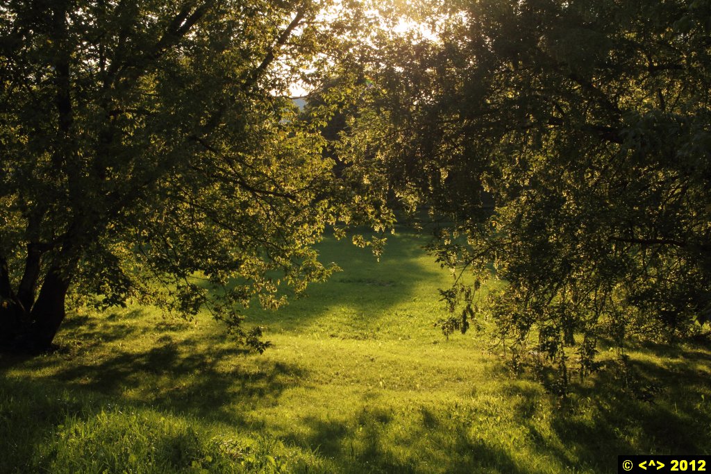 Foto nr: 270