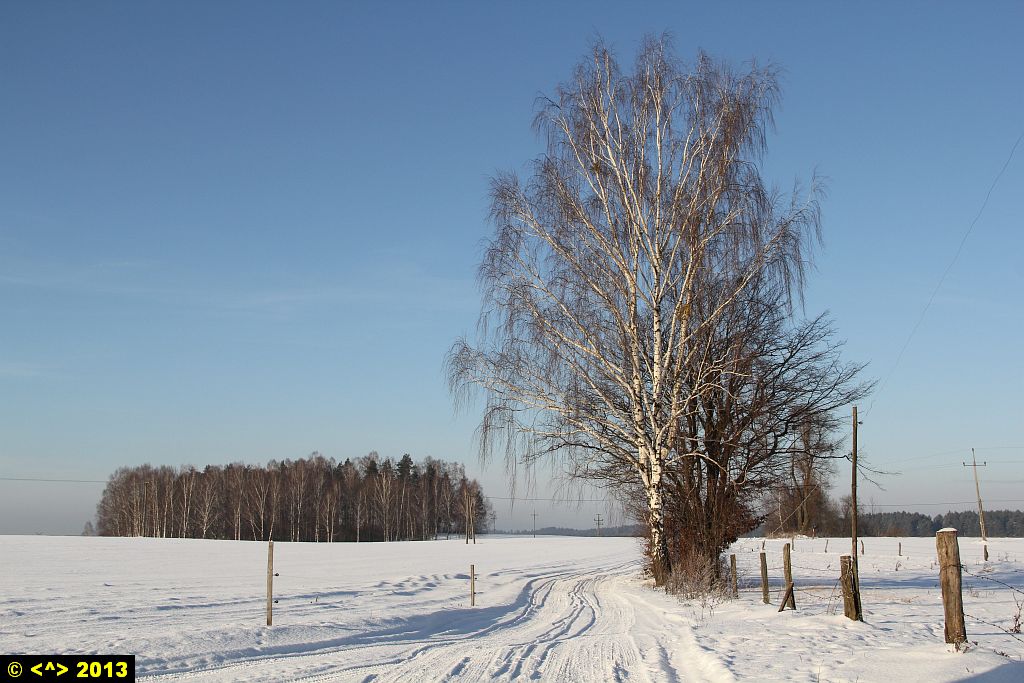 Foto nr: 332
