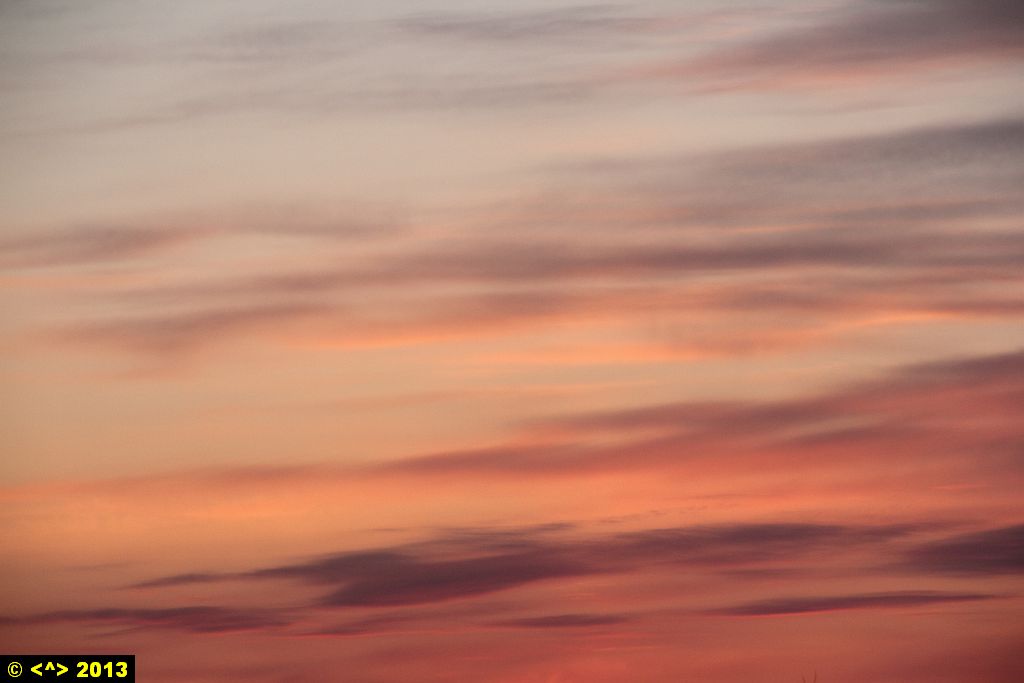 Foto nr: 351