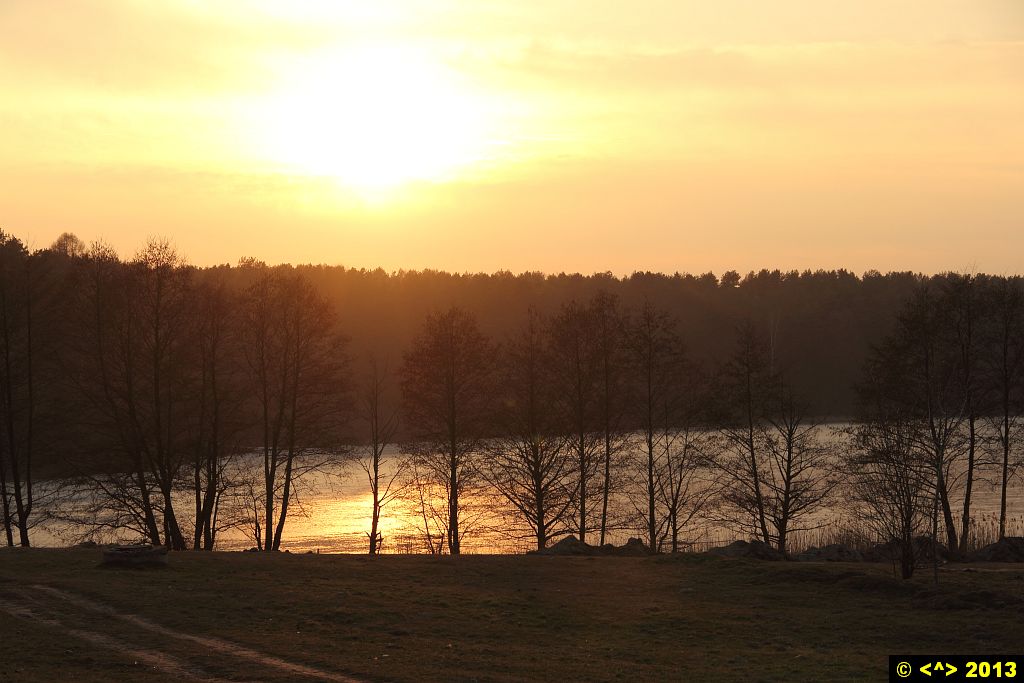 Foto nr: 365