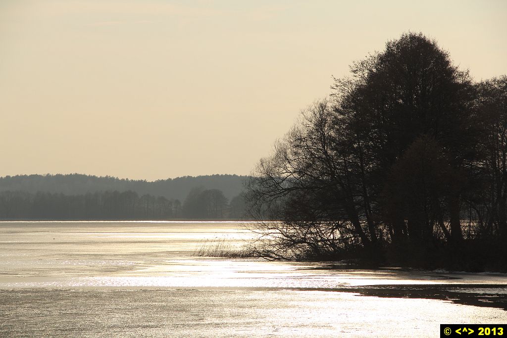 Foto nr: 367