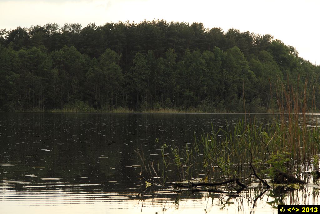 Foto nr: 385