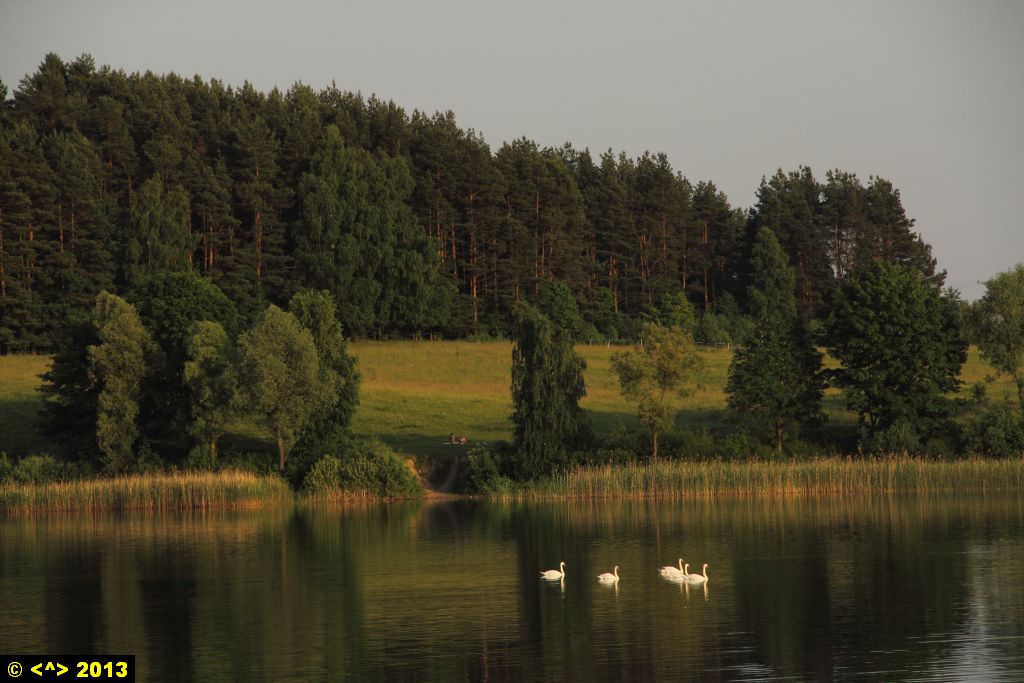 Foto nr: 394