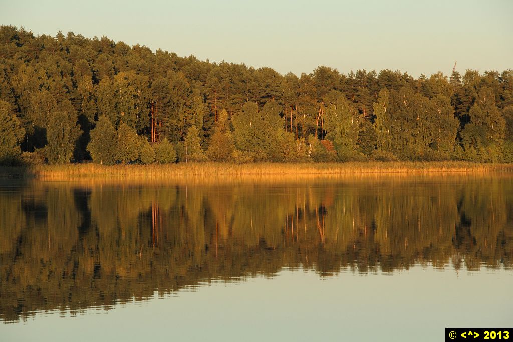 Foto nr: 425