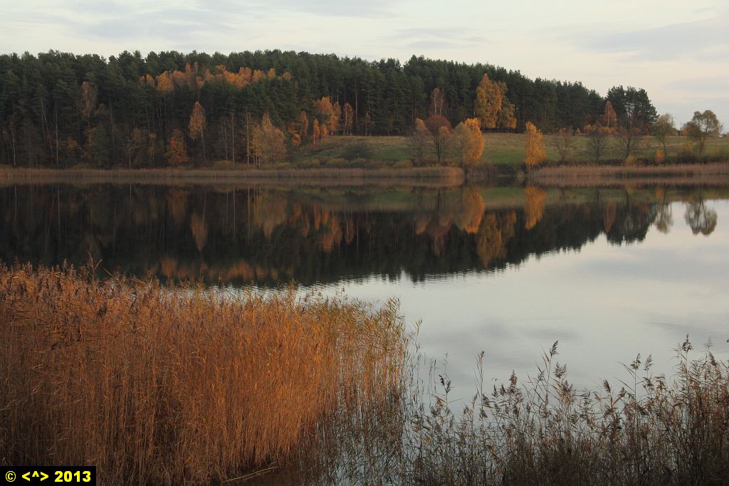 Foto nr: 450