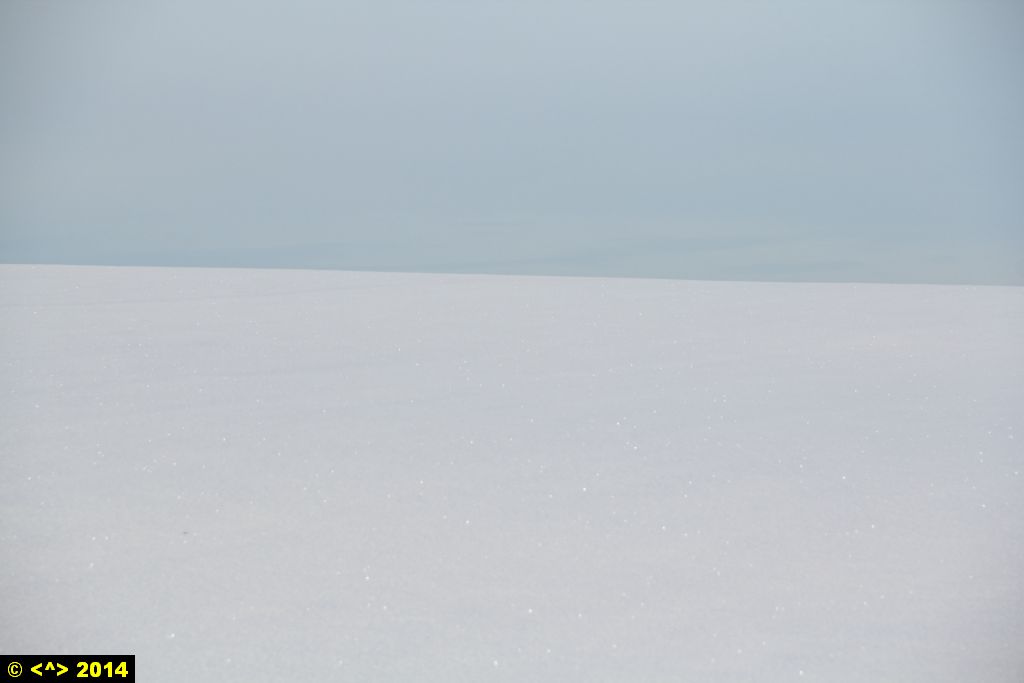 Foto nr: 466